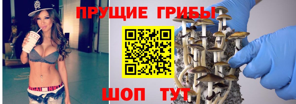 Галлюциногенные грибы Psilocybe  Вход с VPN  где купить наркоту  Нововоронеж 